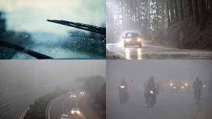 Driving In Foggy Weather – Safety Tips You Should Follow